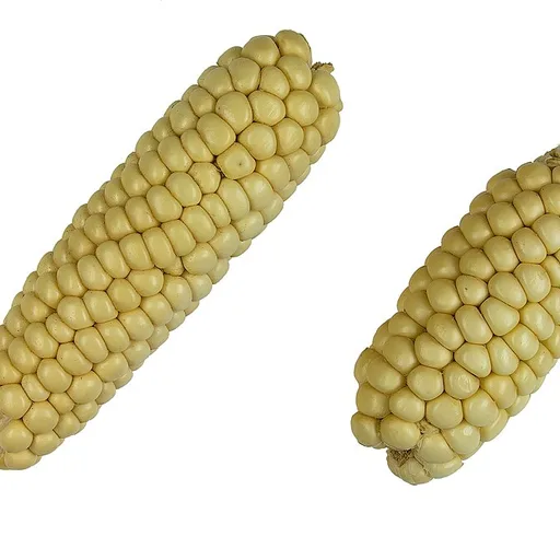 corn