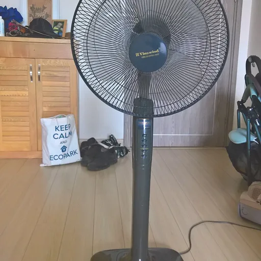fan