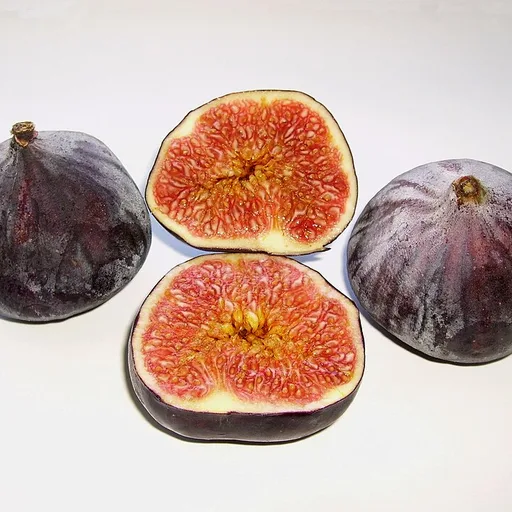 fig