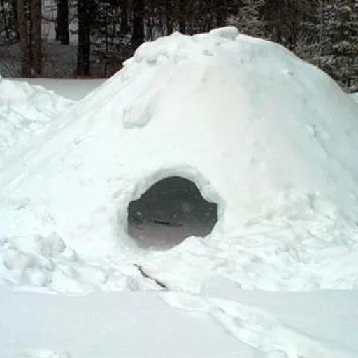 igloo