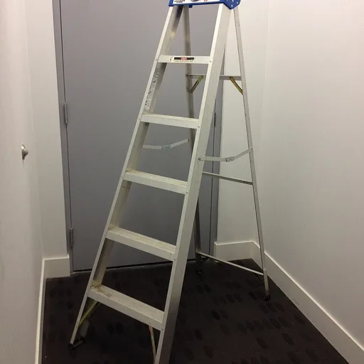 ladder