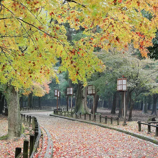 park