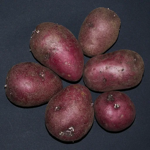 potato