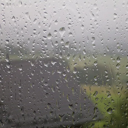 rain